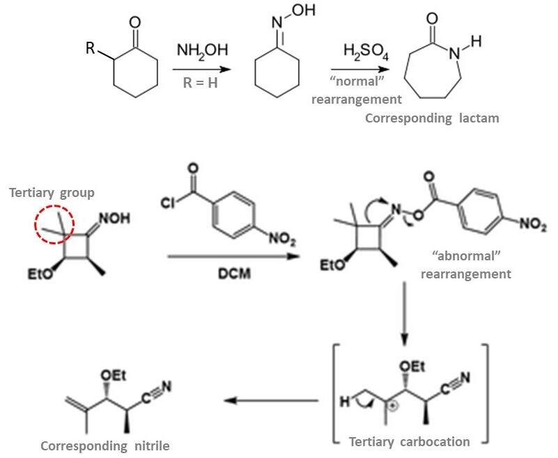 What is abnormal Beckmann rearrangement? ECHEMI