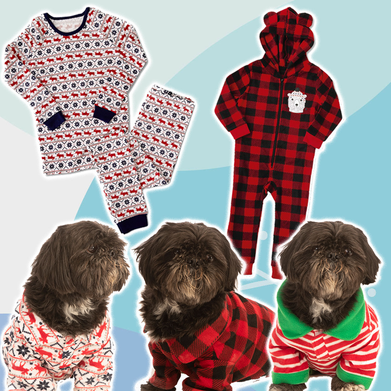 Aldi Is Selling Matching Holiday Pajamas for You and Your Pet—and