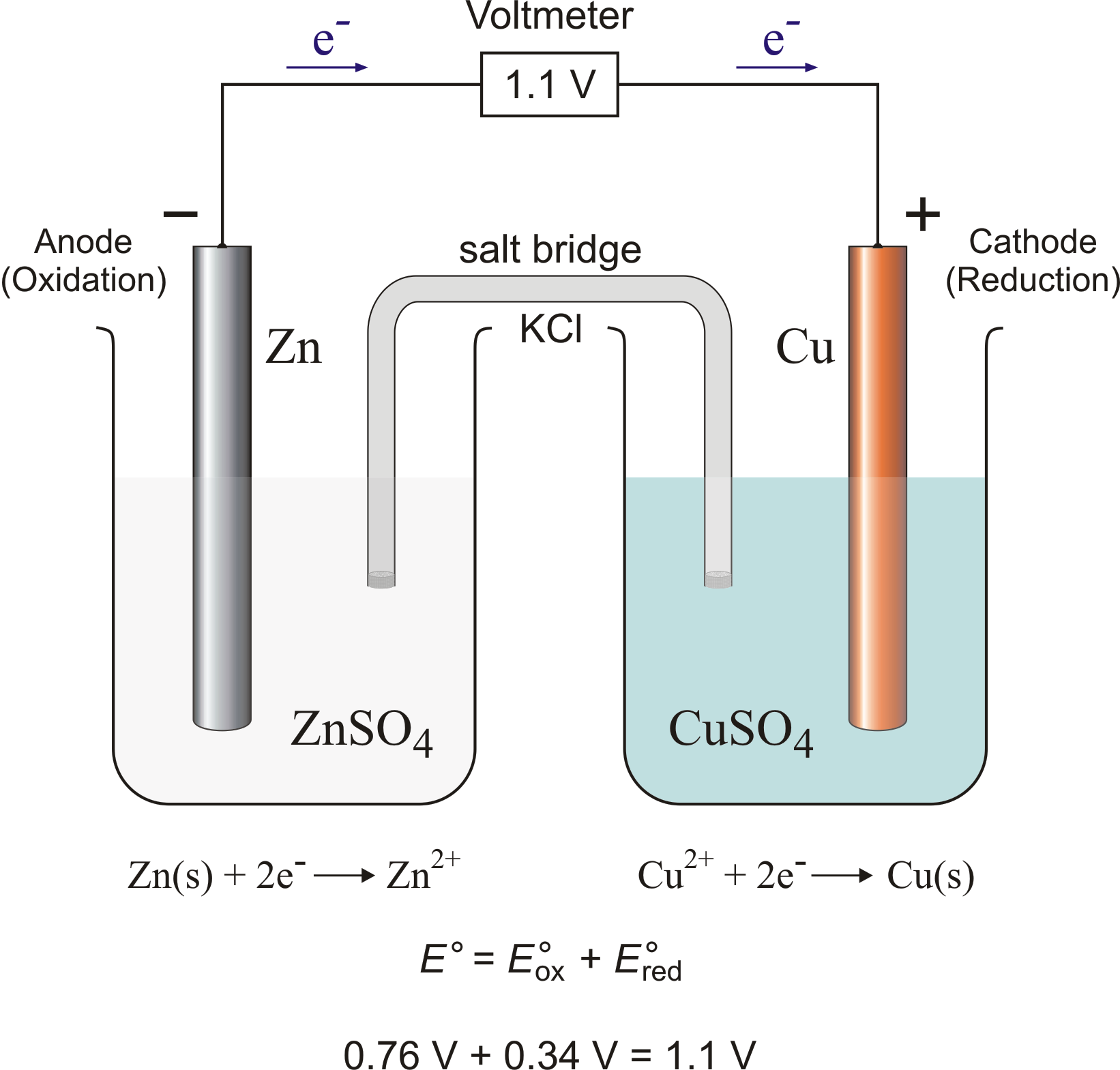 Do ions in a salt bridge come from the half cells in 