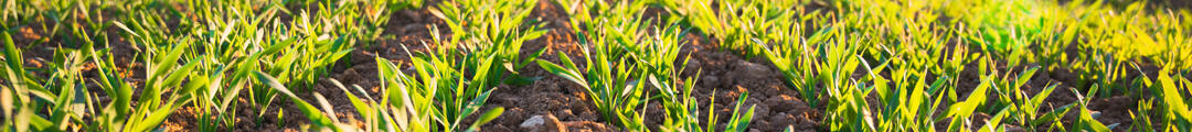 Agrochemical news ad image-01