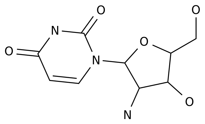 2'-Amino-D-uridine