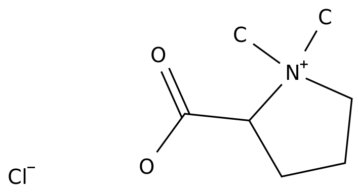 Stachydrine hydrochloride CAS 4136-37-2