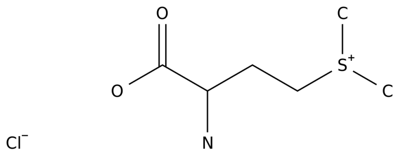 Vitamin U 3493-12-7