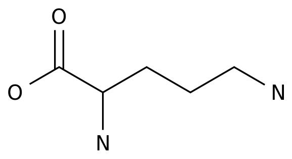 2,5-Diaminovaleric acid