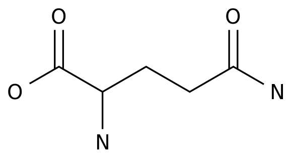 L-Glutamine (L-Glutamic acid 5-amide), Endogenous Metabolite