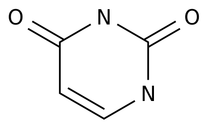 Uracil CAS 66-22-8