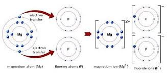 What kind of bond do magnesium and sulfur make? I answered ionic bond ...