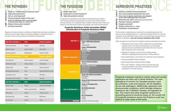 What is the difference between herbicide and fungicide? - ECHEMI