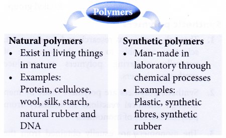 What are five examples of modified natural polymers? - ECHEMI