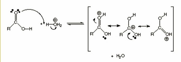 Why is sulfuric acid used in esterification? - ECHEMI