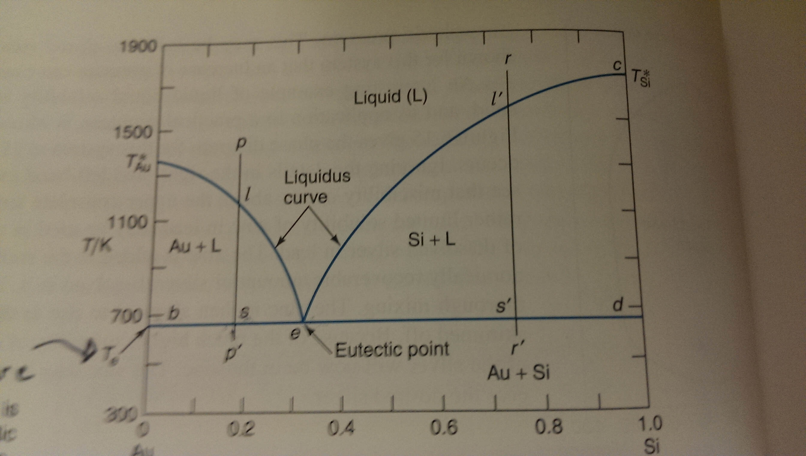 Eutectic Phase Diagram and Lever Rule - ECHEMI