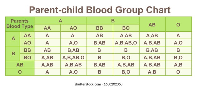 Child Got A Blood Group When Both Parents Are O ECHEMI