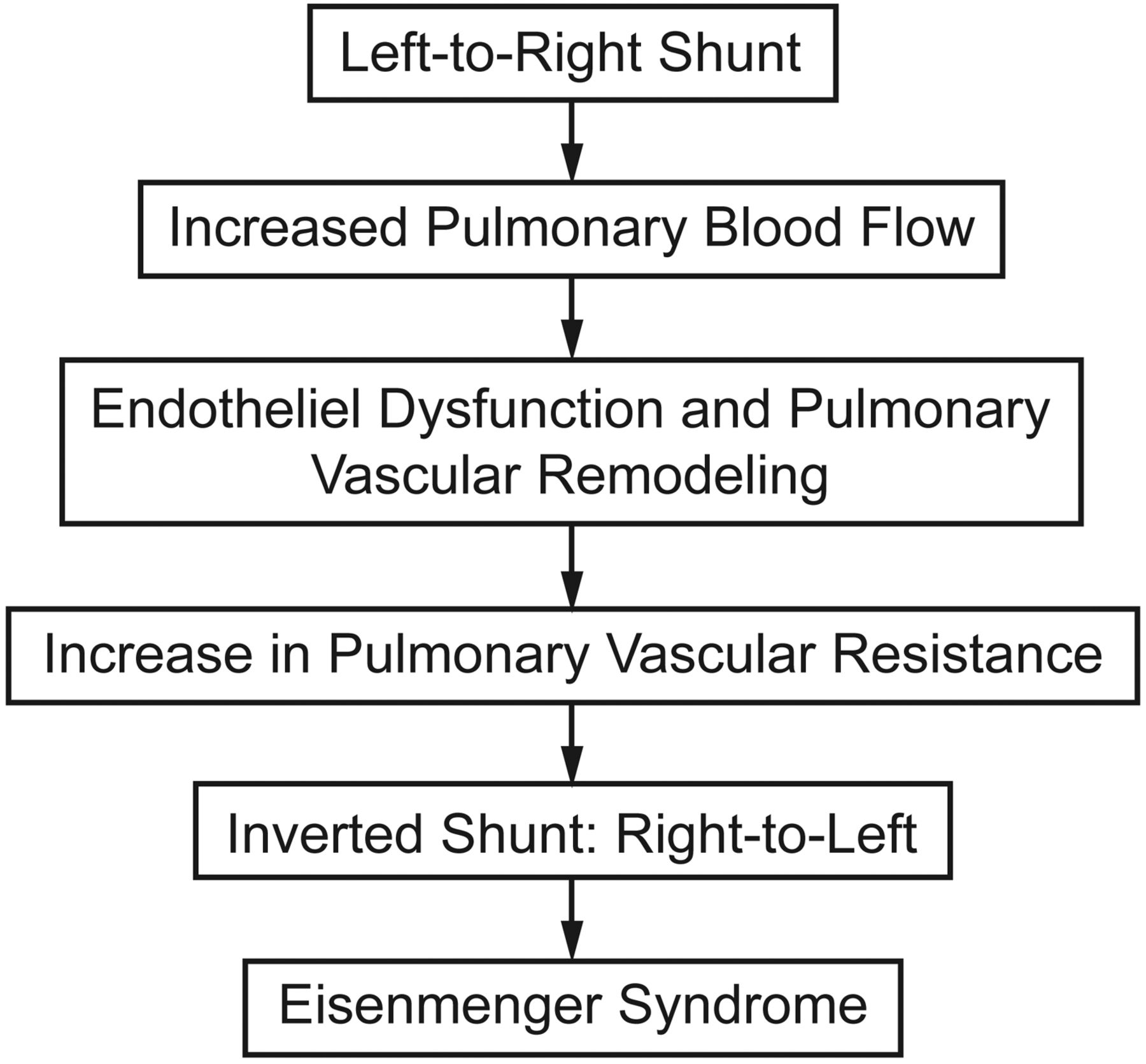 What is the difference between Eisenmenger syndrome and ventricular ...