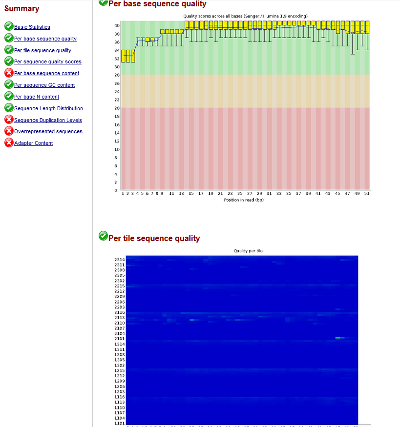 What are the right parameters to trim a small RNA transcriptome with