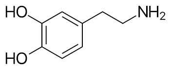 What is the difference between tonic and phasic firing? - ECHEMI