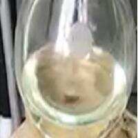 1,2,3,4,5-Pentamethylcyclopentadiene 98%