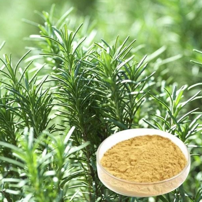 Buy Rosemary Extract (Rosmarinic acid) Food Grade from Conutrix ECHEMI