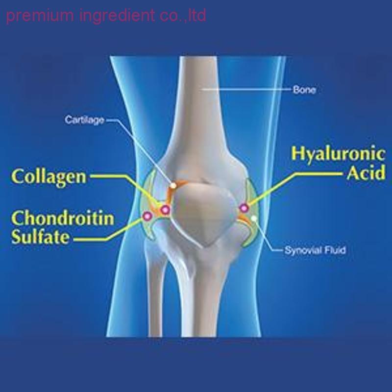 Buy chondroitin sulfate USP grade from PREMIUM INGREDIENT CO.,LTD ECHEMI