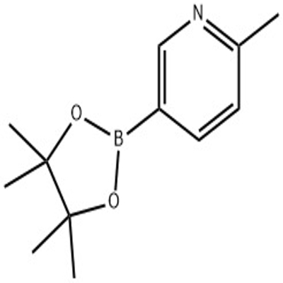 2-methyl-5-(tetramethyl-1,3,2-dioxaborolan-2-yl)pyridine