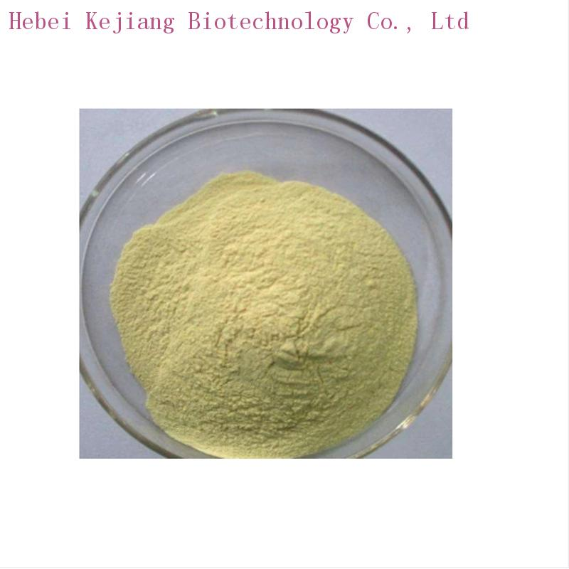 Buy Riboflavin5phosphate sodium 99 Yellow powder 130405 kejiang