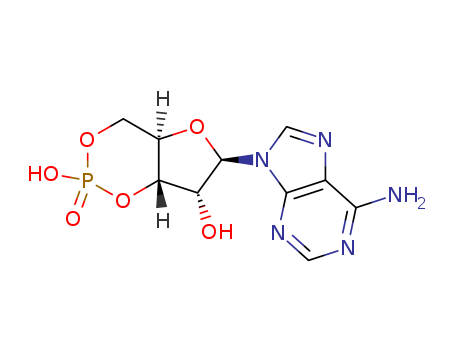 cyclic amp structure