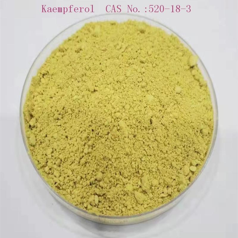 Buy Kaempferol 98 yellow powder Food Grade from Shaanxi click