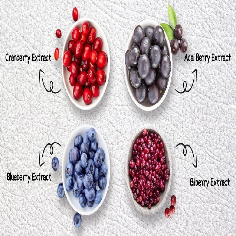 Buy Black elderberry extract 101 from SNC GOOD FORTUNE ECHEMI