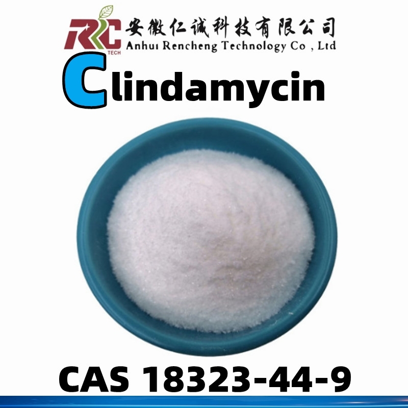 Buy GMP Veterinary Medicine Clindamycin Phosphate Powder CAS 18323-44-9 ...