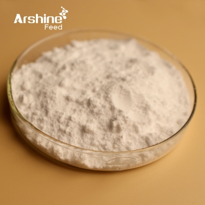 CHEMITECH Chemiseal Mazin (Material) 30g Liquids & Powders buy at