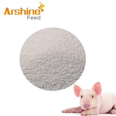 Tilmicosin coating premix 99% Light-yellow powder  Arshine