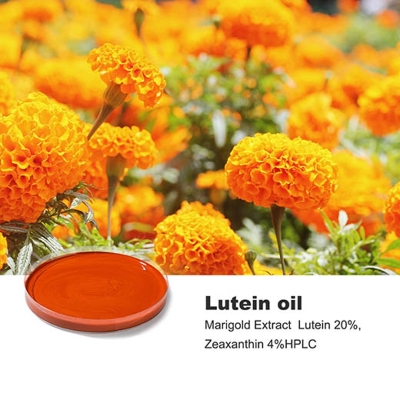 Lutein Oil  Yellow-Orange Oil