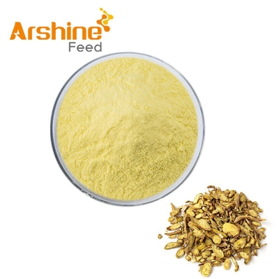 Baicalin 99% Light yellow powder  Arshine