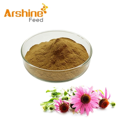 Echinacea Extract 35% greenish yellow   Arshine