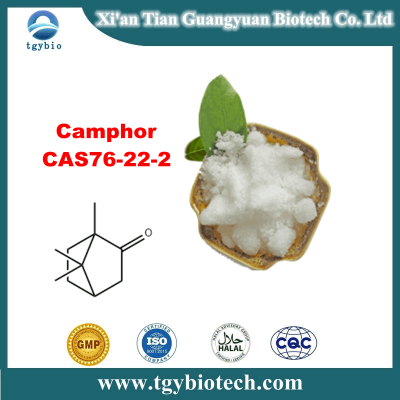 Camphor 99% white powder