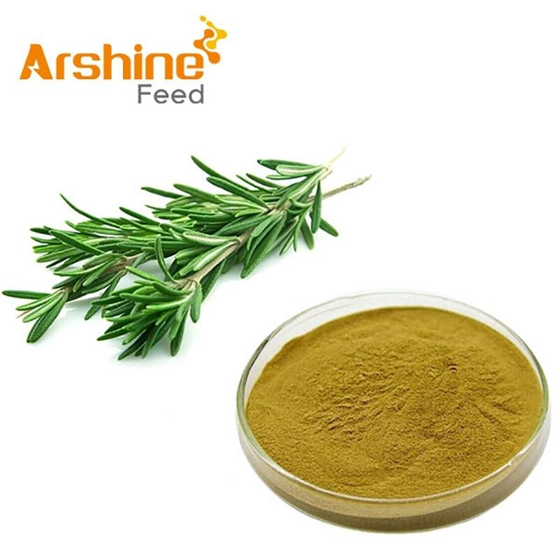 Buy Rosemary Extract 60 Darkgreen powder Arshine Feed Grade from