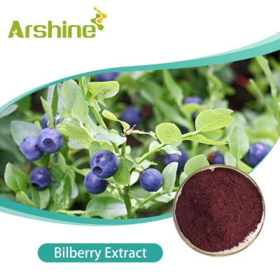 Bilberry Extract 25% crimson powder  Arshine
