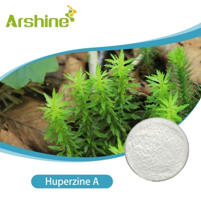 Huperzine A 98% white powder  Arshine