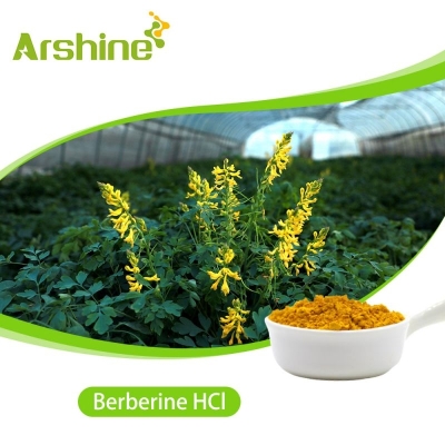 Berberine HCl 95% Yellow Brown powder  Arshine