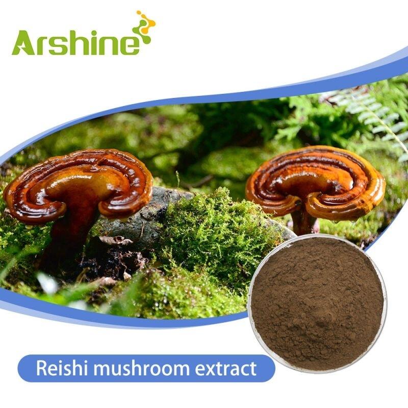 Where Can I Buy Reishi Mushrooms Buy Reishi mushroom Extract 90% Brownish yellow powder Arshine Food