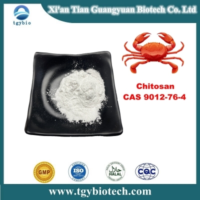 99% Chitosan Powder 9012-76-4 Feed Additives Chitosan