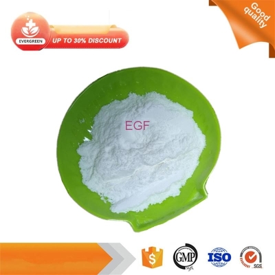EGF high quality CAS 62253-63-8 99% pure EGF powder