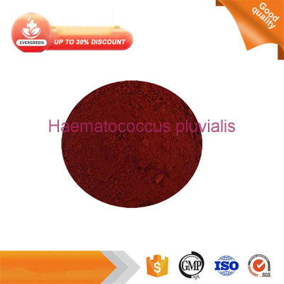 Haematococcus pluvialis 99% low price CAS 472-61-7 Haematococcus pluvialis powder