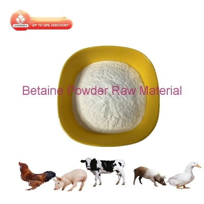 Betaine Powder Raw Material 99% Powder CAS 107-43-7 EGC-Betaine Powder Raw Material
