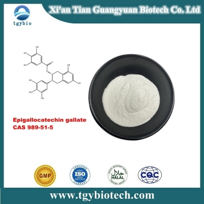 Epigallocatechin gallate 98% white powder