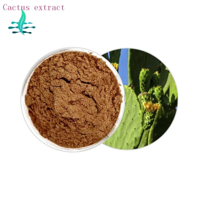 100% Water-soluble Hoodia Gordonii Extract Lose weight product  Yellow brown powder   LanShan