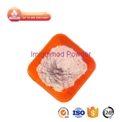 APIs Raw Materials Imiquimod Powder 99% Powder CAS 99011-02-6 EGC-Imiquimod Powder