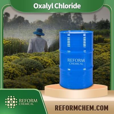 Oxalyl Chloride CASNO.79-37-8 Chemical raw materials Barrel Liquid 99% High Quality