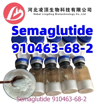 Semaglutide Powder CAS 910463-68-2 Blood Sugar Regulation