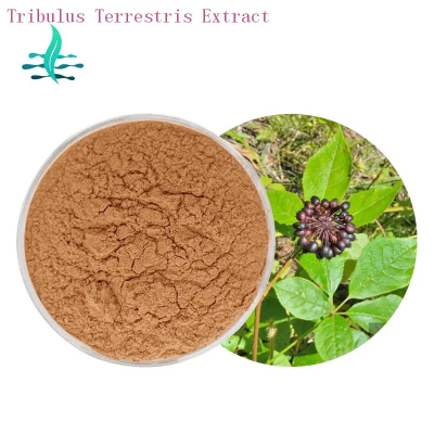 Natural Pure Saponins 40%- 90% Tribulus Terrestris Extract  Colorless to light yellow liquid  LanShan