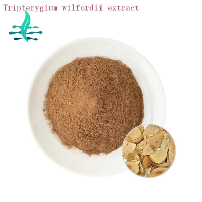 Hot selling high quality natural tripterygium wilfordii extract/thunder god vine extract  Brown powder  LanShan